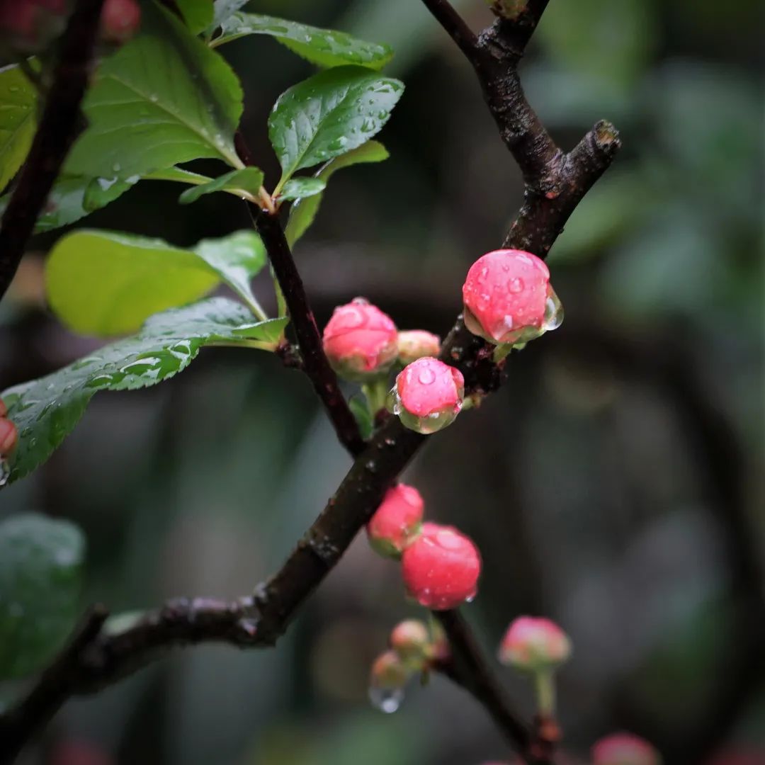 观照｜随缘，到底随的什么缘