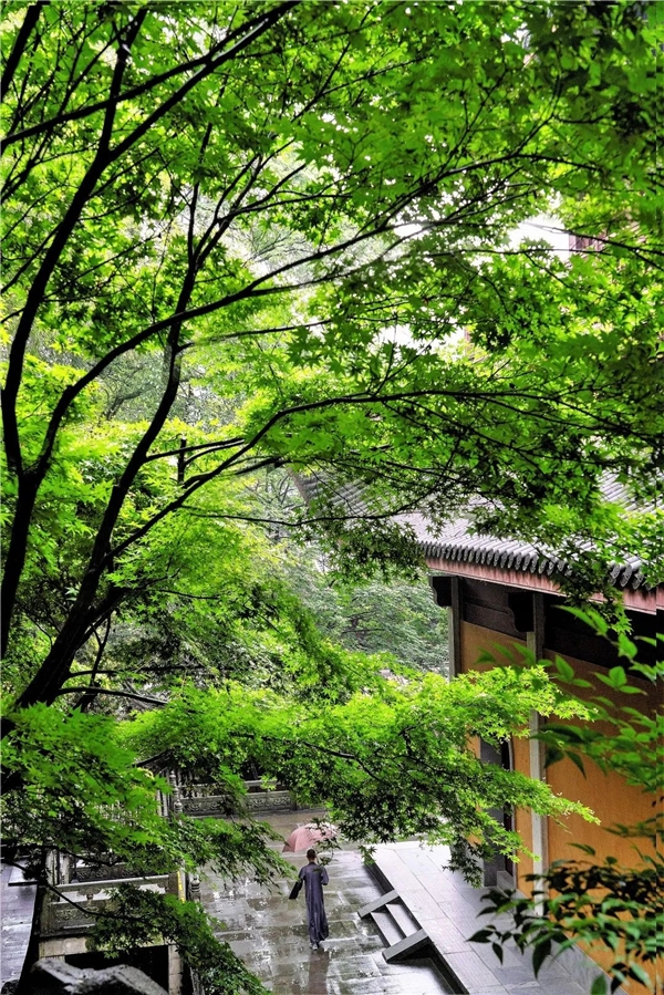 640-1.jpeg 640-1.jpeg