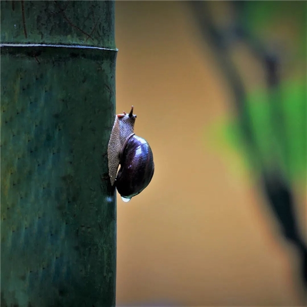 640-2.jpeg 640-2.jpeg