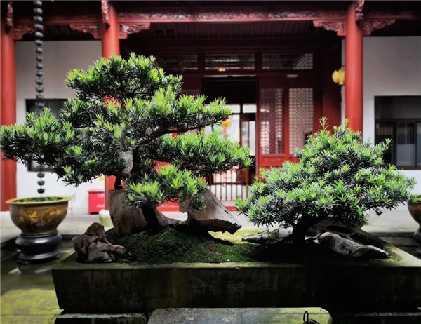 640-23.jpeg 640-23.jpeg