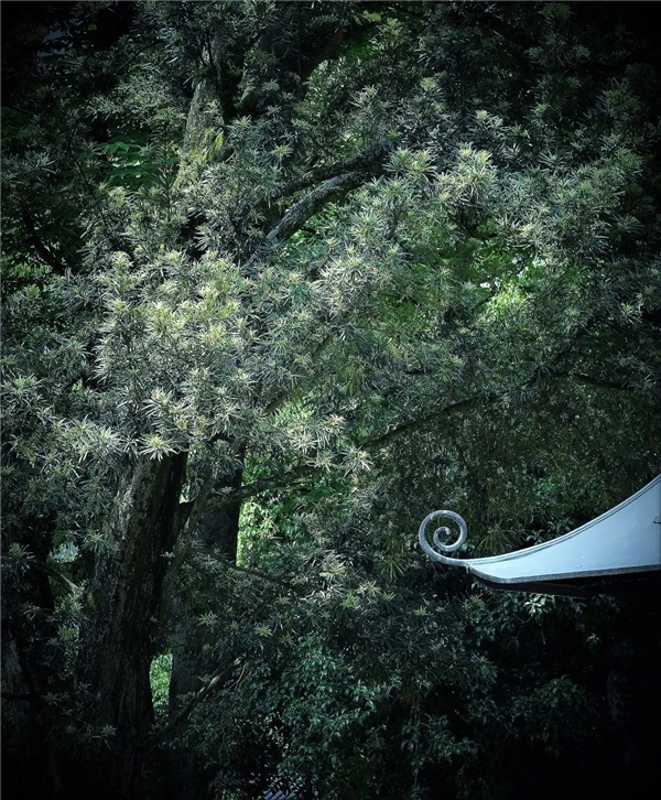 640-38.jpeg 640-38.jpeg