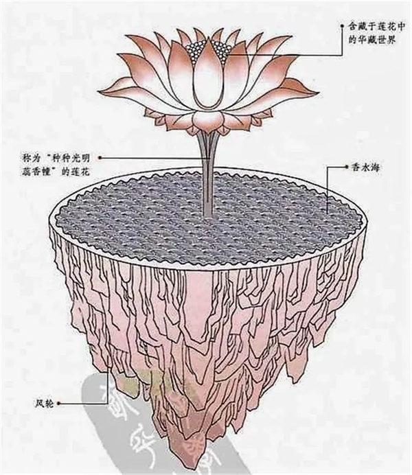 640-17.jpeg 640-17.jpeg