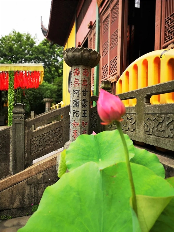 640-3.jpeg 640-3.jpeg