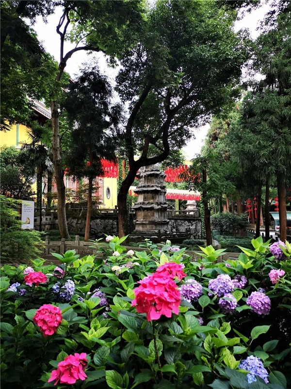 640-1.jpeg 640-1.jpeg