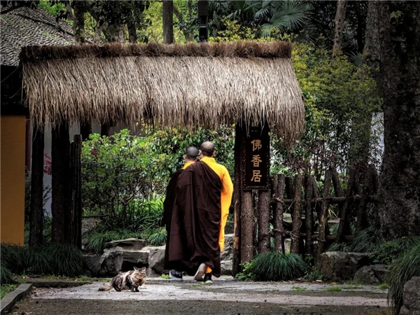 微信图片_20200606190601.jpg 微信图片_20200606190601.jpg