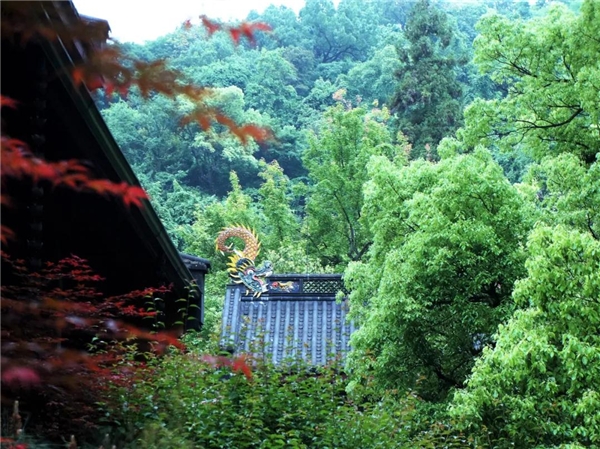 微信图片_20200606190604.jpg 微信图片_20200606190604.jpg