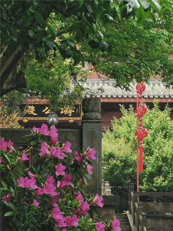 640-7.jpeg 640-7.jpeg