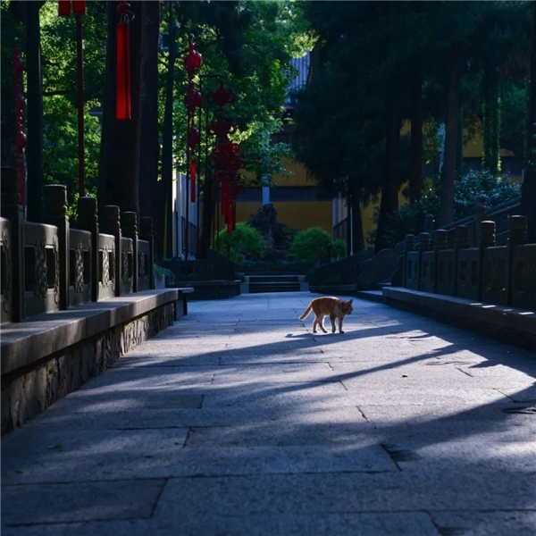 640-2.jpeg 640-2.jpeg