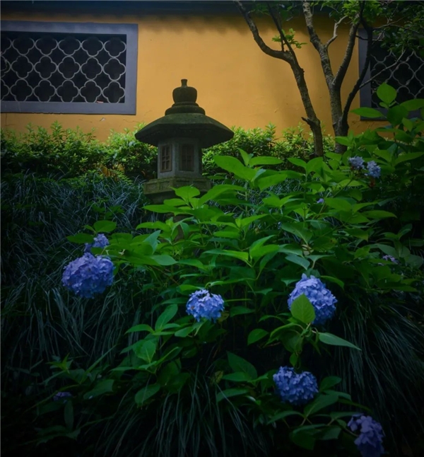 640-3.jpeg 640-3.jpeg