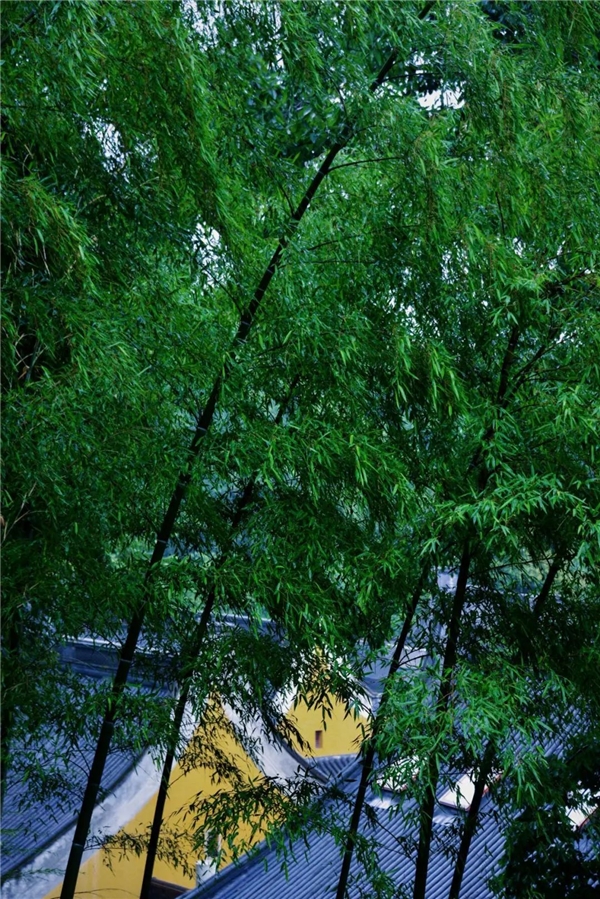 640-6.jpeg 640-6.jpeg