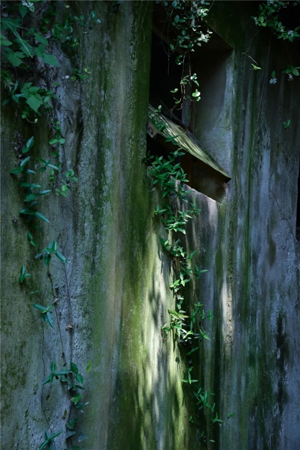 640-7.jpeg 640-7.jpeg