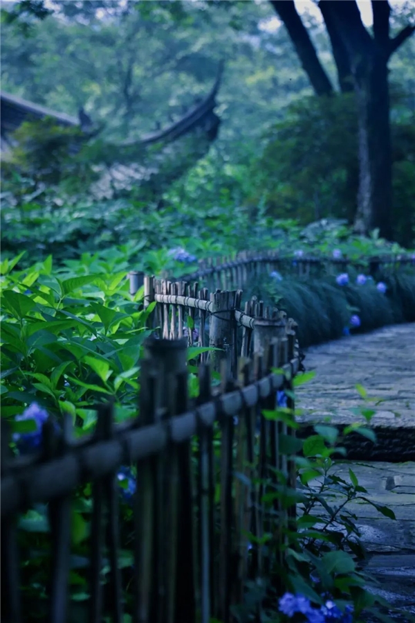 640-8.jpeg 640-8.jpeg