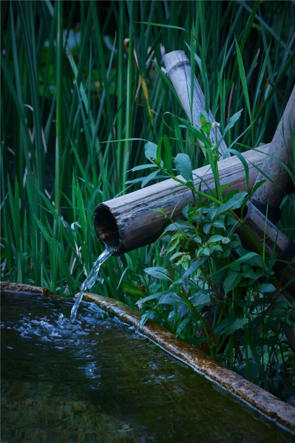 640-10.jpeg 640-10.jpeg