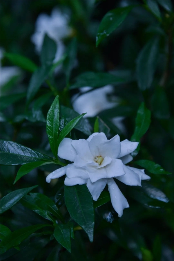 640-13.jpeg 640-13.jpeg