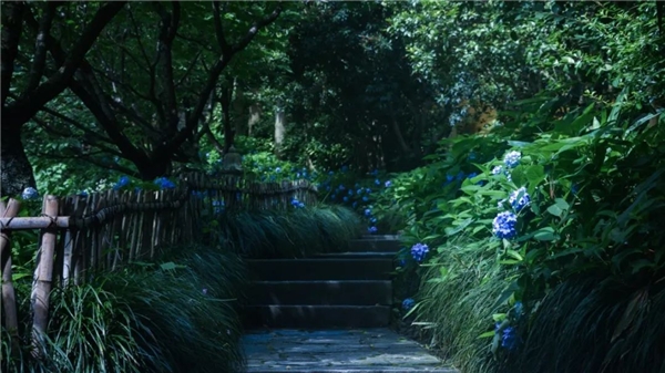 640-15.jpeg 640-15.jpeg