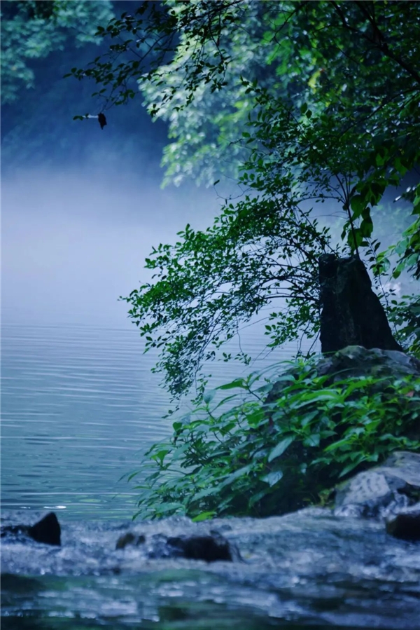 640-17.jpeg 640-17.jpeg