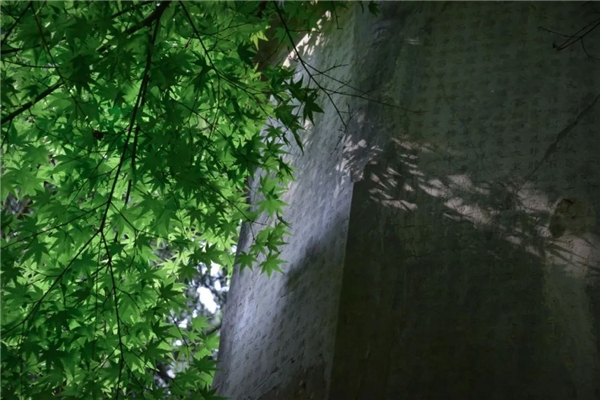 640-20.jpeg 640-20.jpeg