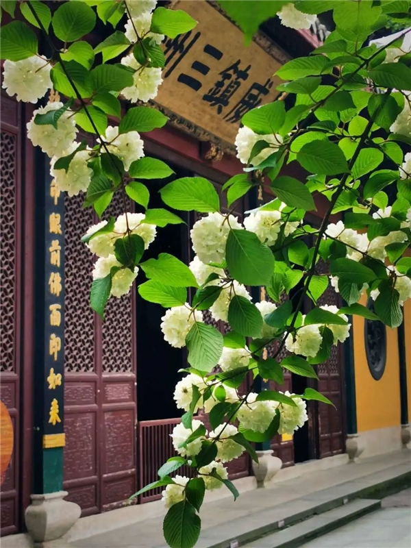 640-12.jpeg 640-12.jpeg