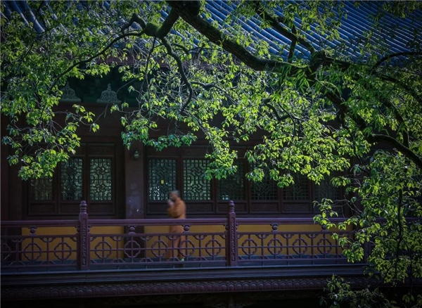 image002.jpg image002.jpg