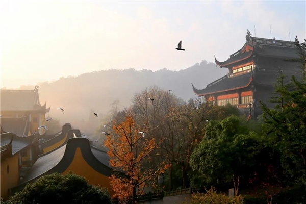 image001.jpg image001.jpg