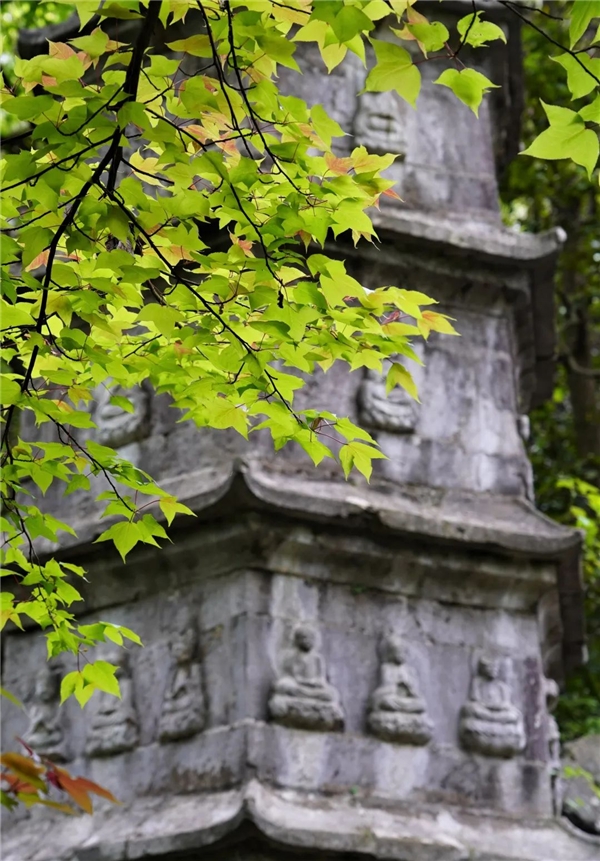 image001.jpg image001.jpg