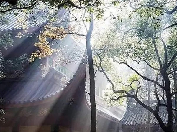 image008.jpg image008.jpg