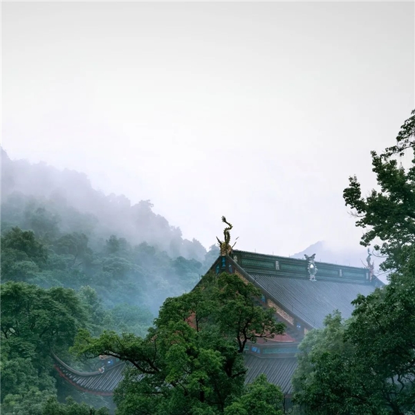 image009.jpg image009.jpg