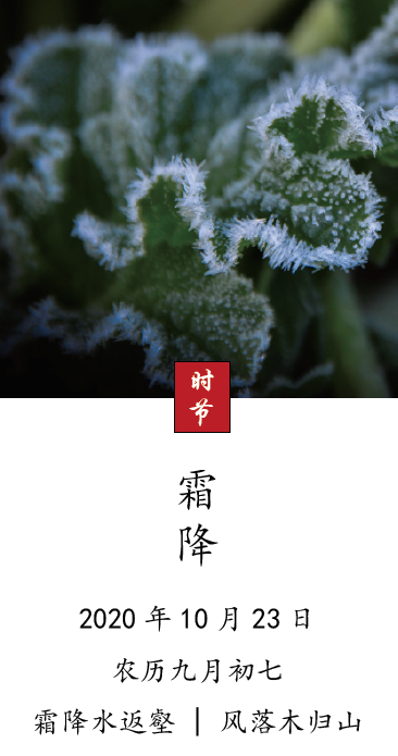 image001.png image001.png