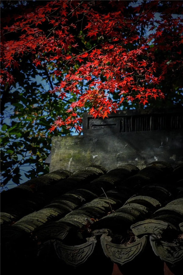 image002.jpg image002.jpg