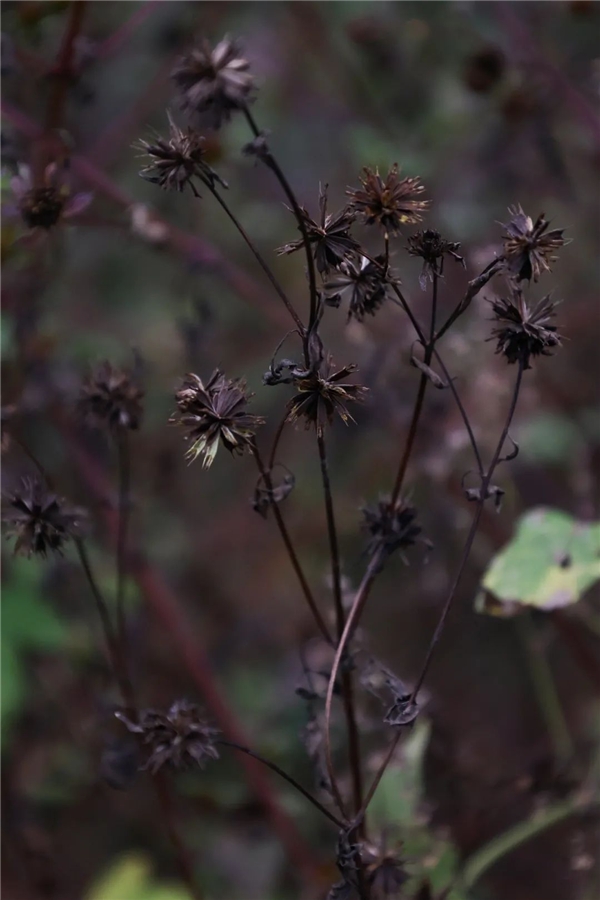 image007.jpg image007.jpg