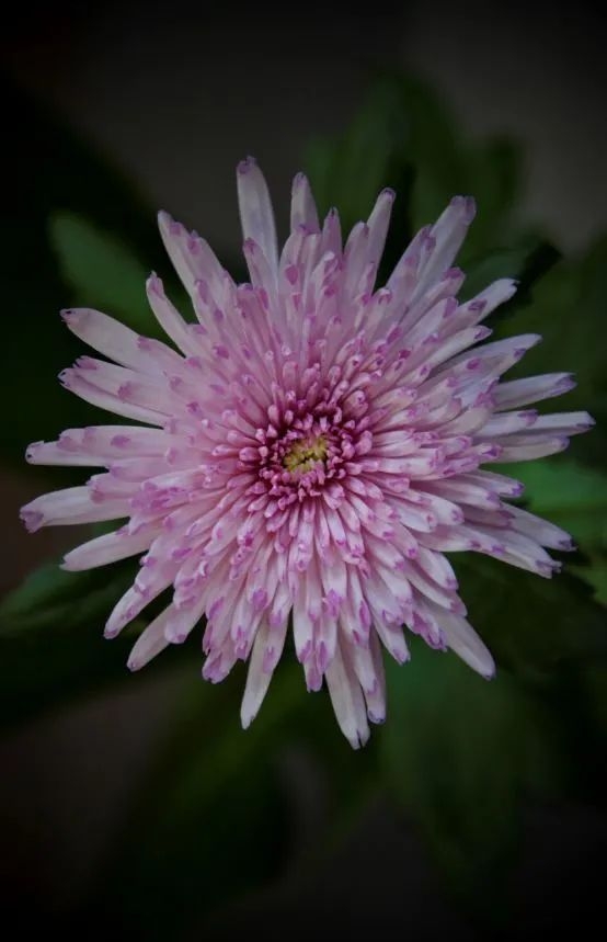 image009.jpg image009.jpg