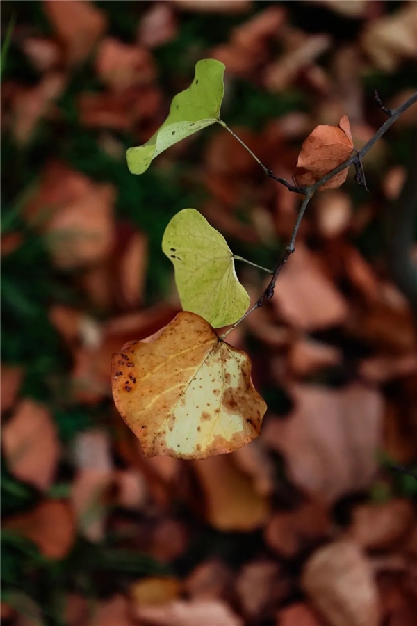 image012.jpg image012.jpg