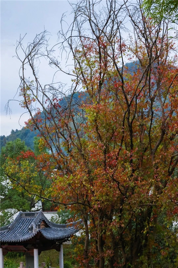 image015.jpg image015.jpg