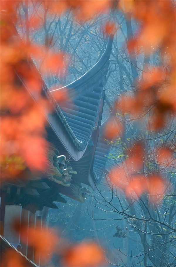 image002.jpg image002.jpg