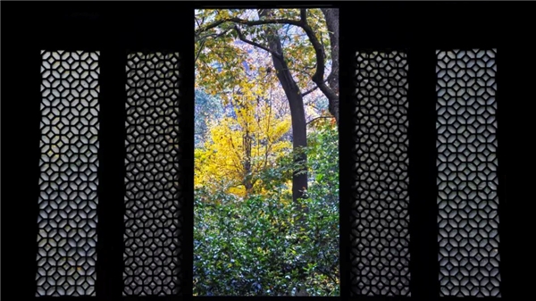 image003.jpg image003.jpg