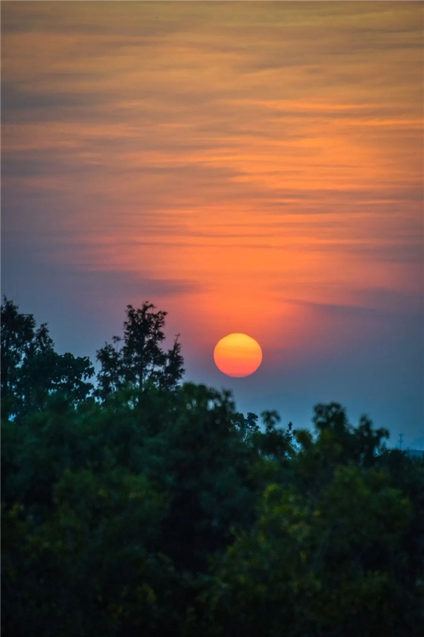 image004.jpg image004.jpg