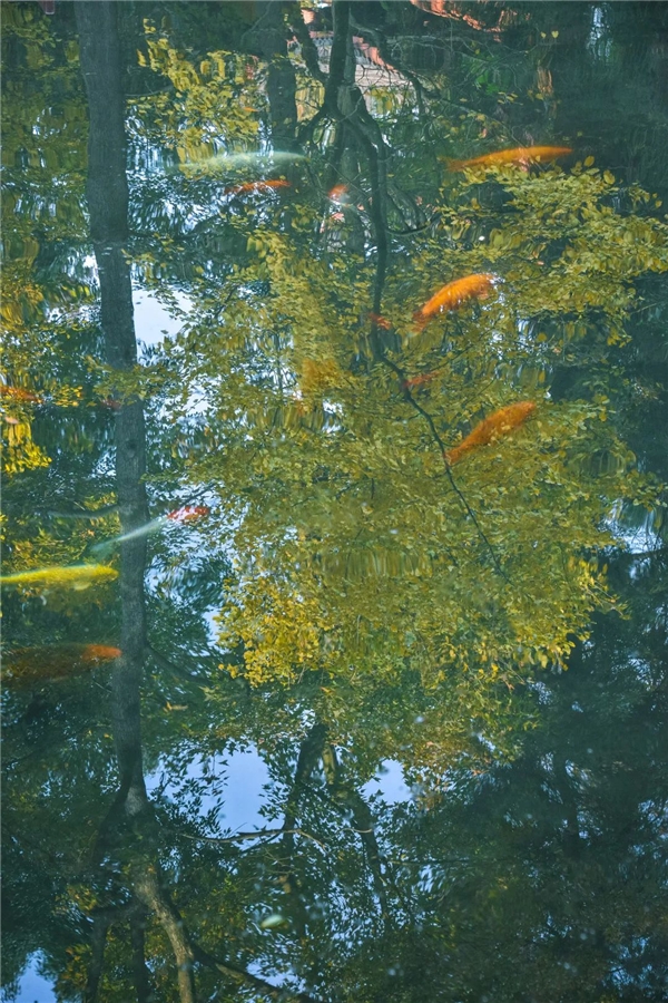 image005.jpg image005.jpg