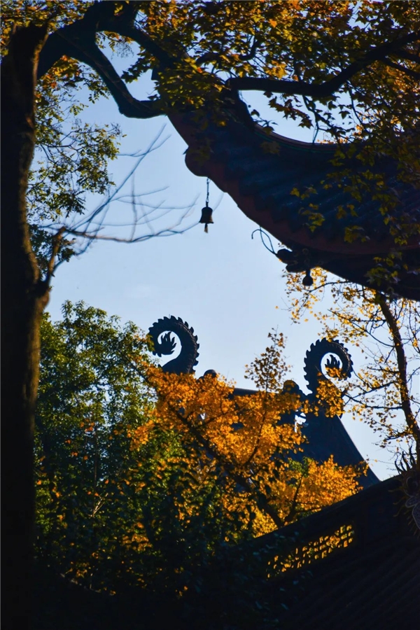 image007.jpg image007.jpg