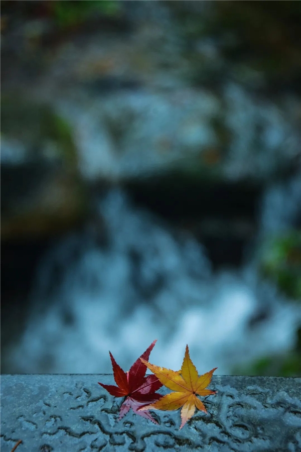 image008.jpg image008.jpg