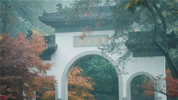 image010.jpg image010.jpg