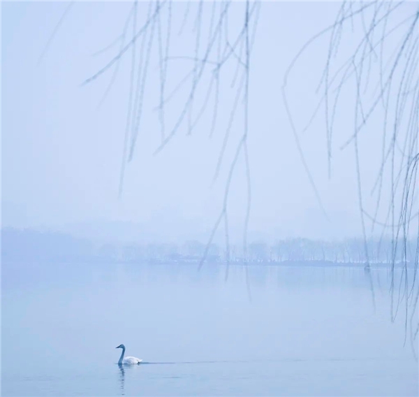 image013.jpg image013.jpg