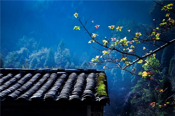 image017.jpg image017.jpg