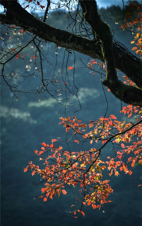 image019.jpg image019.jpg