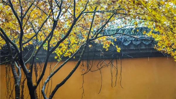 image020.jpg image020.jpg