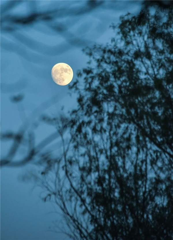 image021.jpg image021.jpg