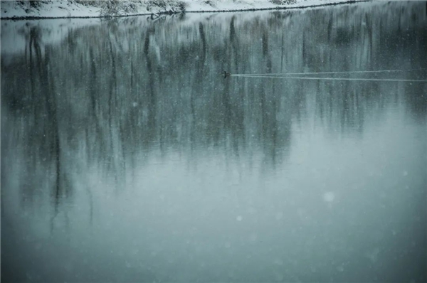 image022.jpg image022.jpg