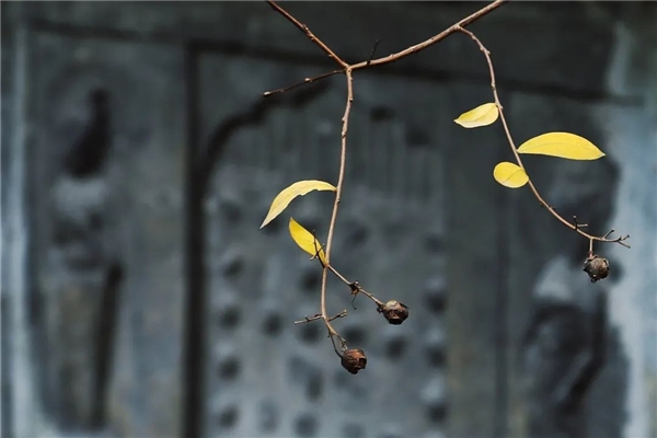 image002.jpg image002.jpg