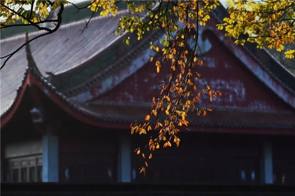 image003.jpg image003.jpg