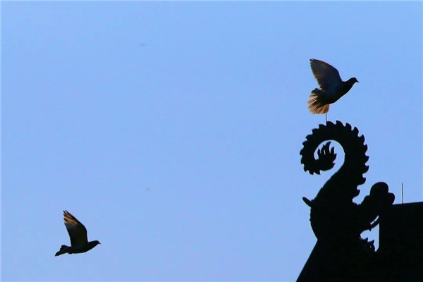 image004.jpg image004.jpg