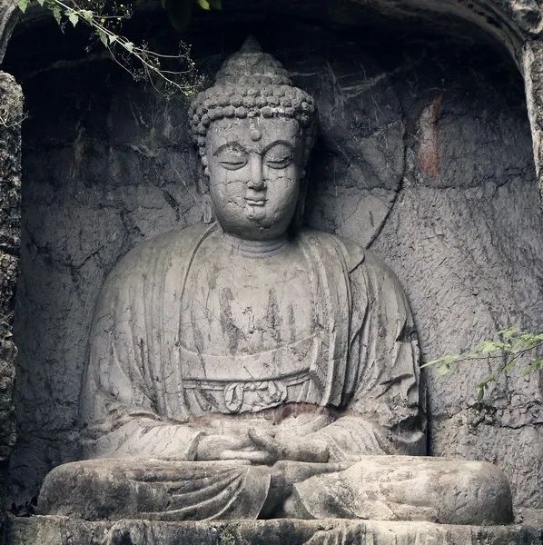 image005.jpg image005.jpg